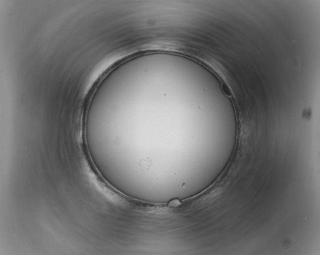 X0000112521131200908311351
