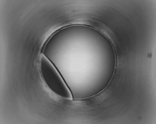 X0000112521132200908311351