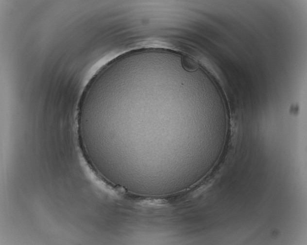 X0000112521133200908311351