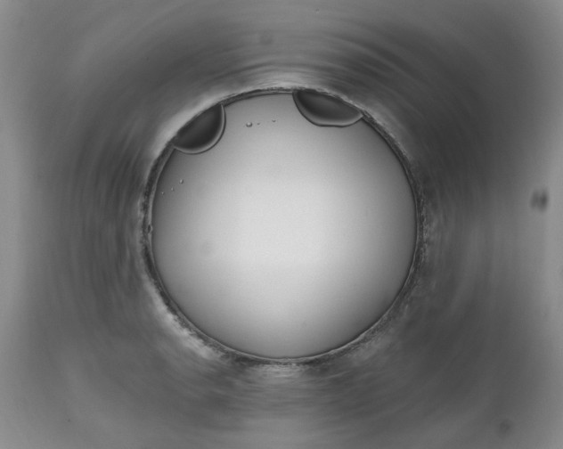 X0000112521134200908311351