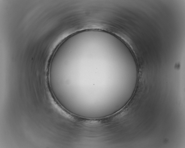 X0000112521135200908311351