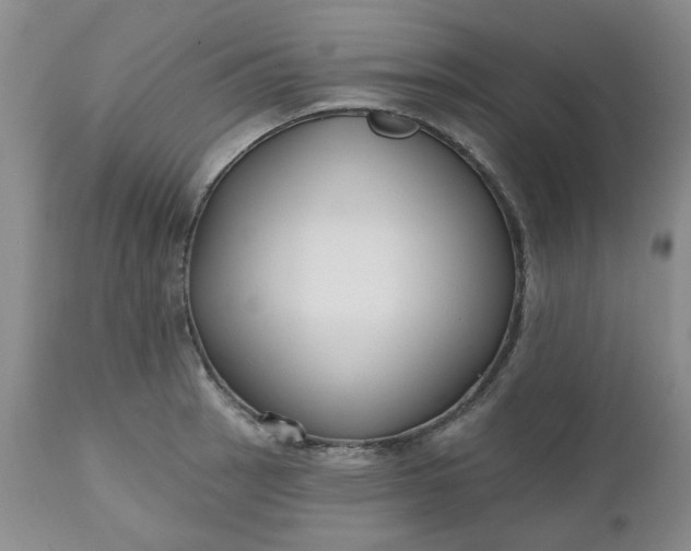 X0000112521137200908311351