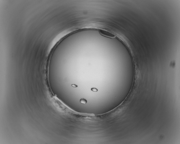 X0000112521138200908311351