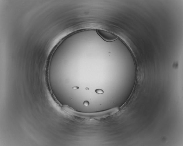 X0000112521139200908311351