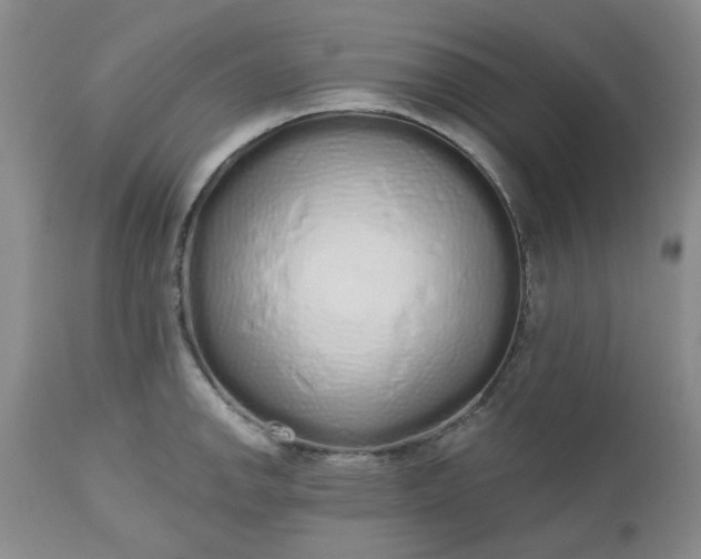 X0000112521142200908311351