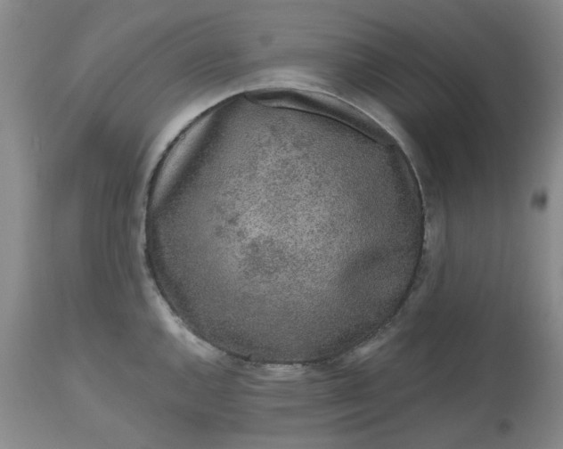 X0000112521144200908311351