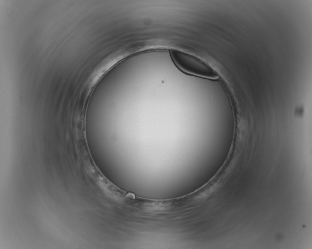 X0000112521145200908311351