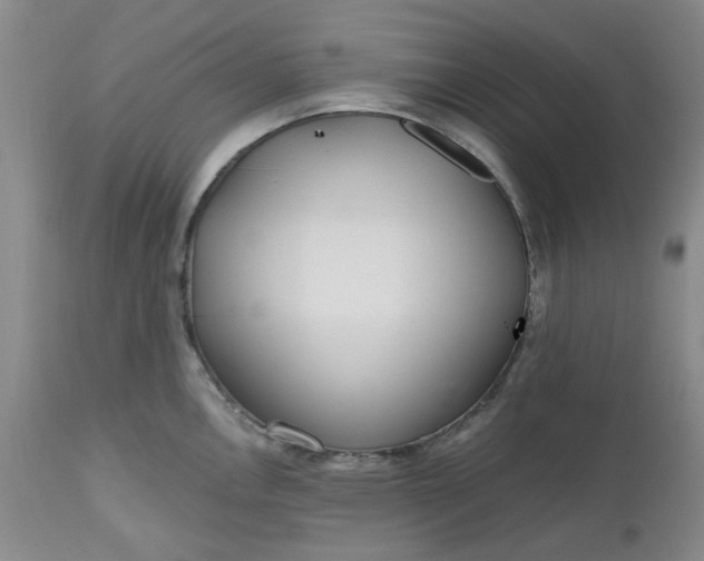 X0000112521146200908311351