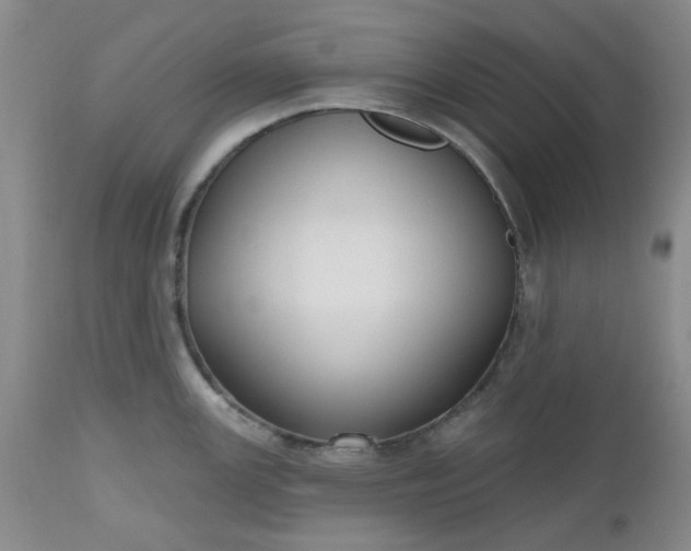 X0000112521147200908311351