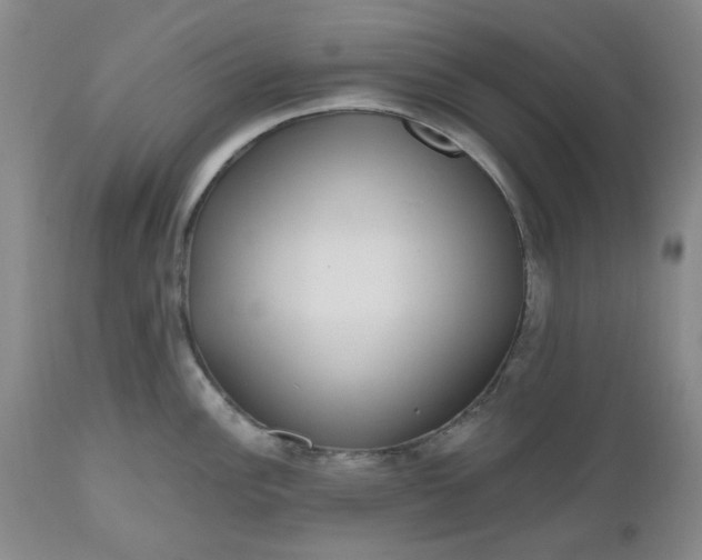 X0000112521148200908311351