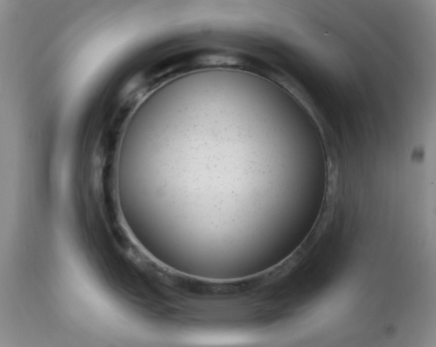 X0000112521151200908311351