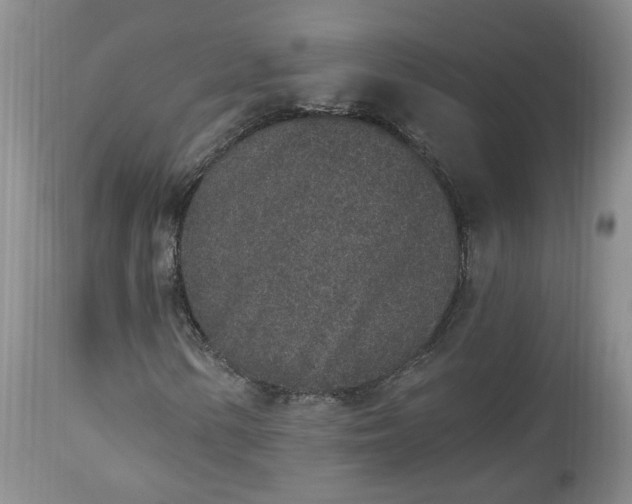 X0000112521154200908311351