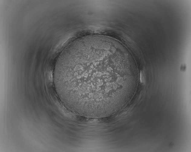 X0000112521155200908311351