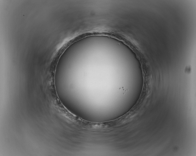 X0000112521160200908311350