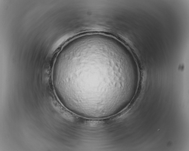 X0000112521163200908311350