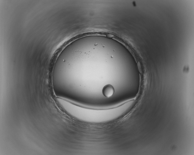 X0000112521165200908311350