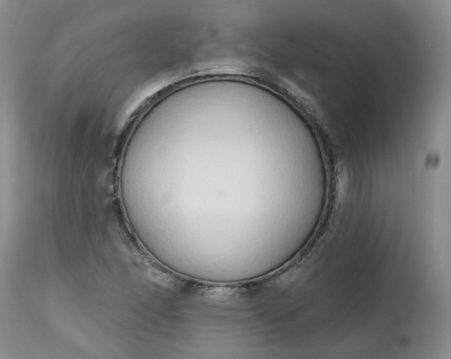 X0000112521166200908311350