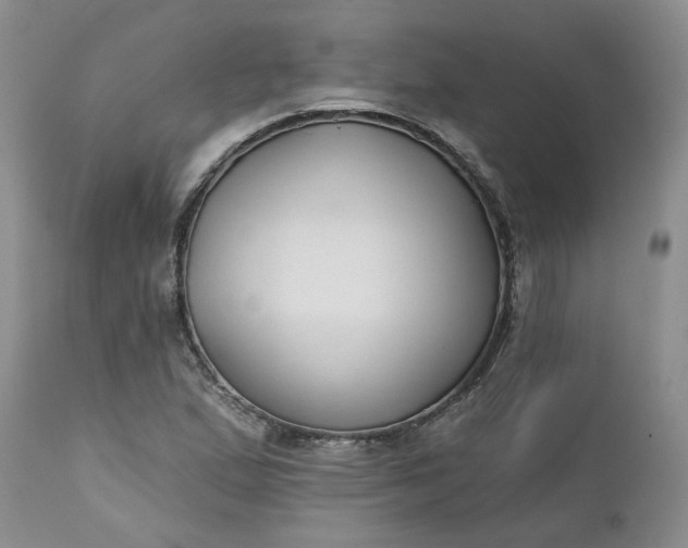 X0000112521167200908311350