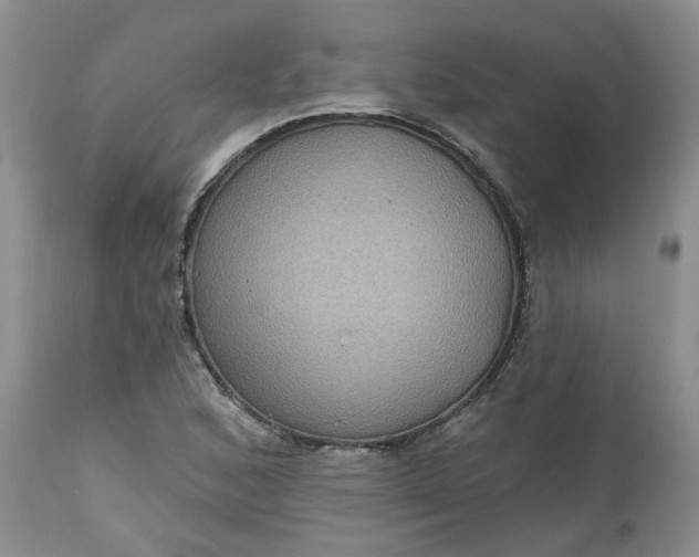 X0000112521168200908311350