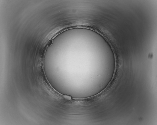 X0000112521169200908311350