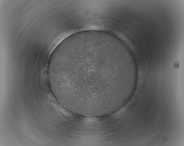 X0000112521170200908311350