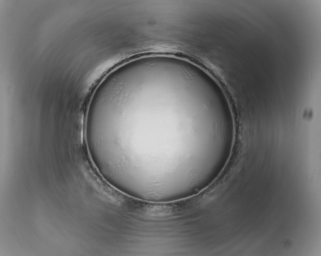 X0000112521171200908311350