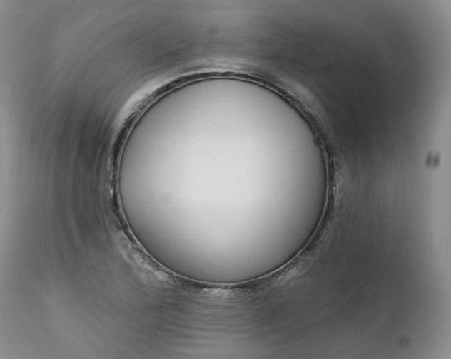 X0000112521172200908311350