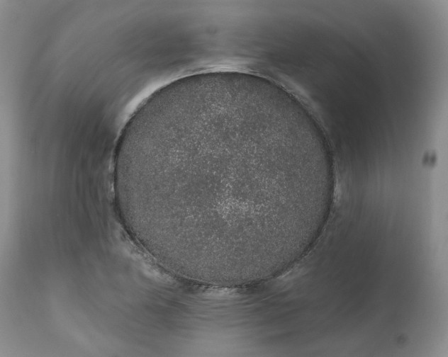 X0000112521174200908311350