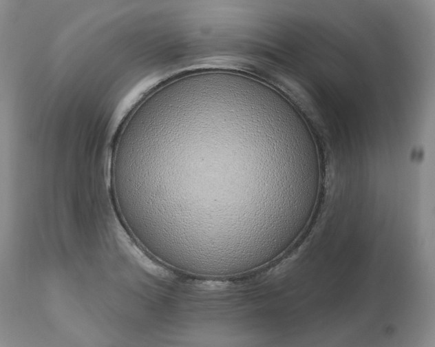 X0000112521180200908311350