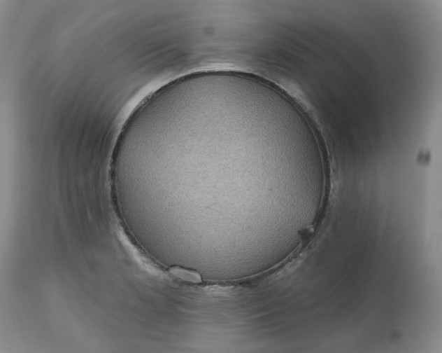 X0000112521181200908311350