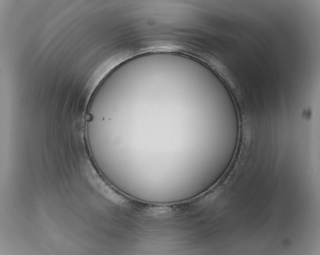 X0000112521186200908311350