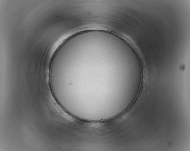 X0000112521188200908311350
