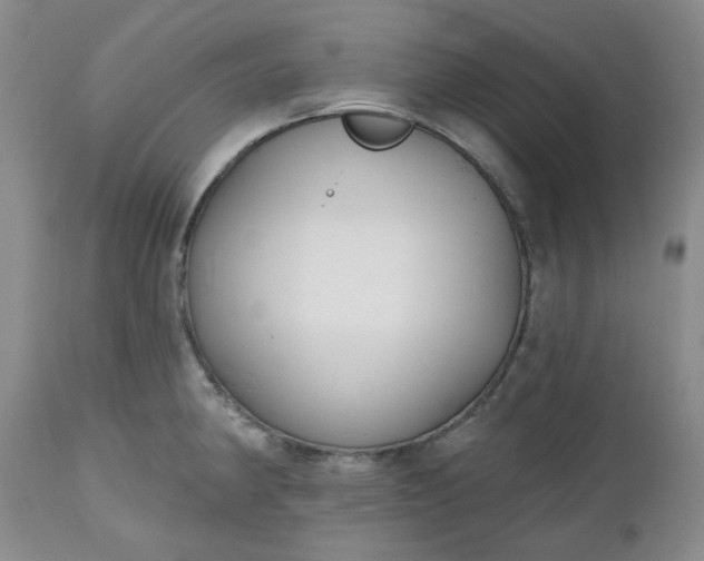 X0000112521190200908311350