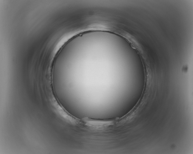 X0000112521192200908311350