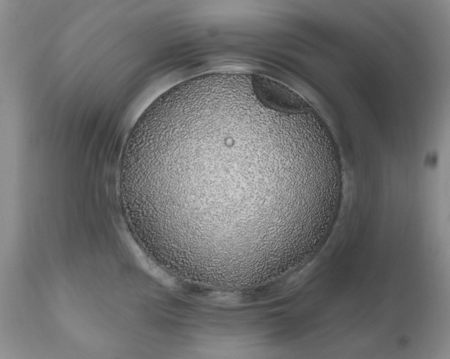 X0000112521194200908311350
