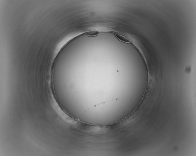 X0000112521195200908311350