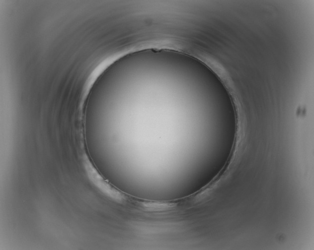 X0000112521200200908311350