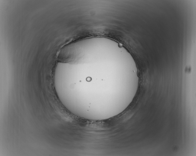 X0000112521201200908311349