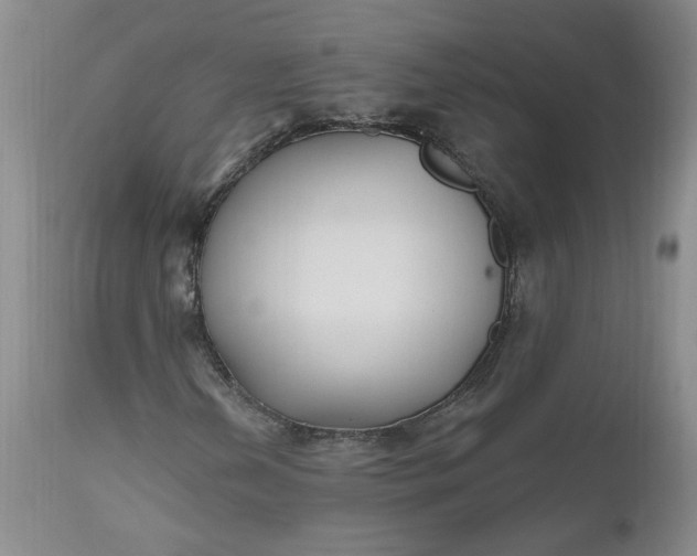 X0000112521202200908311349