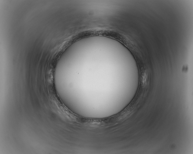 X0000112521204200908311349