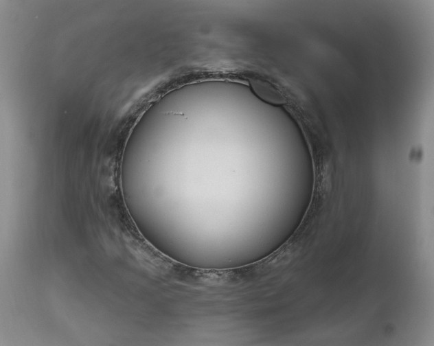 X0000112521205200908311349