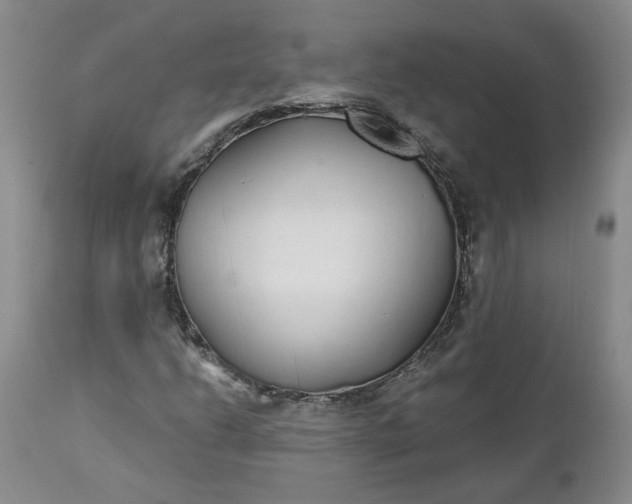 X0000112521206200908311349