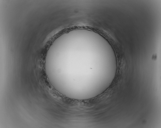X0000112521207200908311349