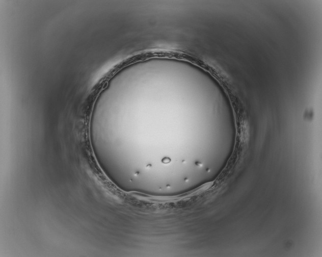 X0000112521208200908311349