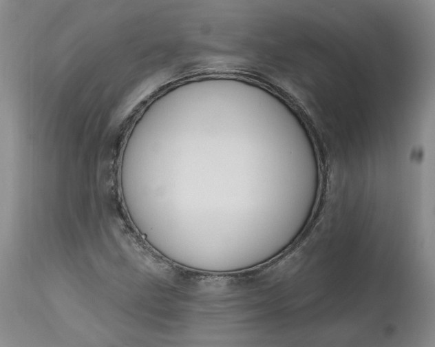 X0000112521211200908311349