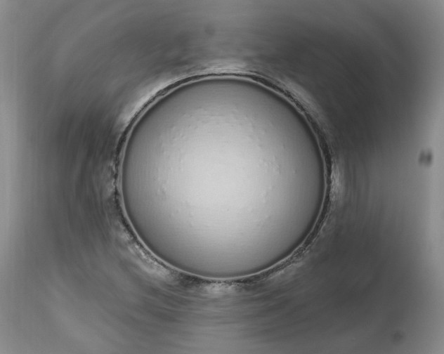 X0000112521212200908311349