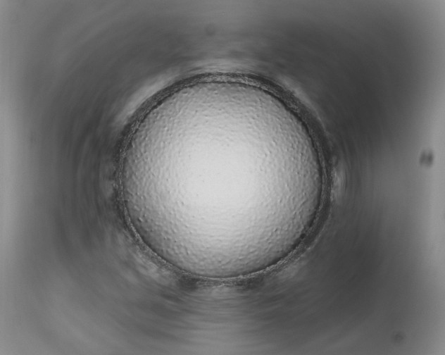 X0000112521213200908311349