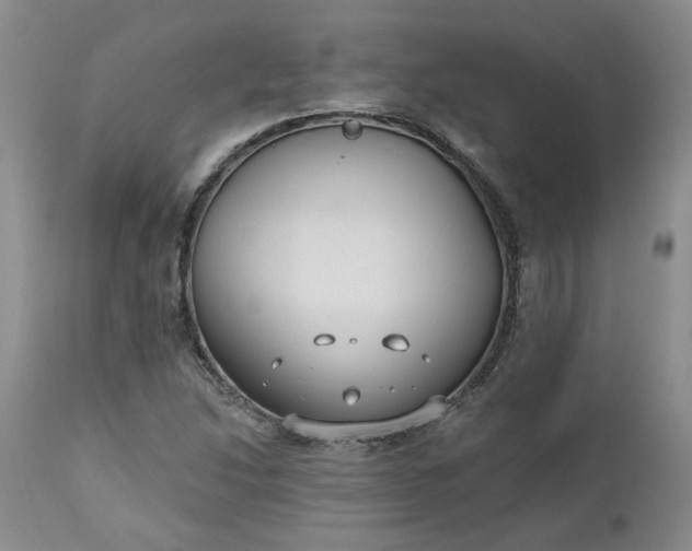 X0000112521214200908311349