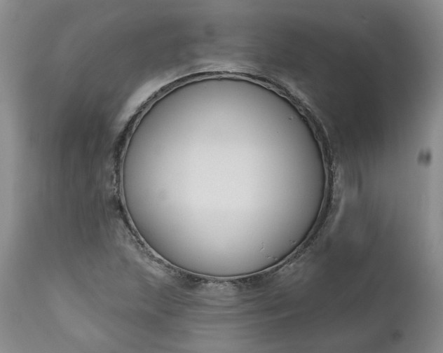 X0000112521215200908311349