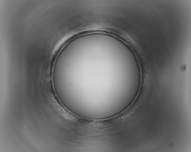 X0000112521216200908311349